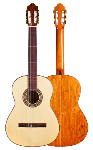 2014 Marlon Navarro Alvarez "Student Classical" SP/PE