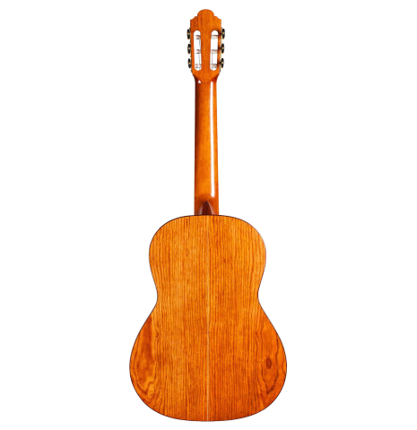 2014 Marlon Navarro Alvarez "Student Classical" SP/PE