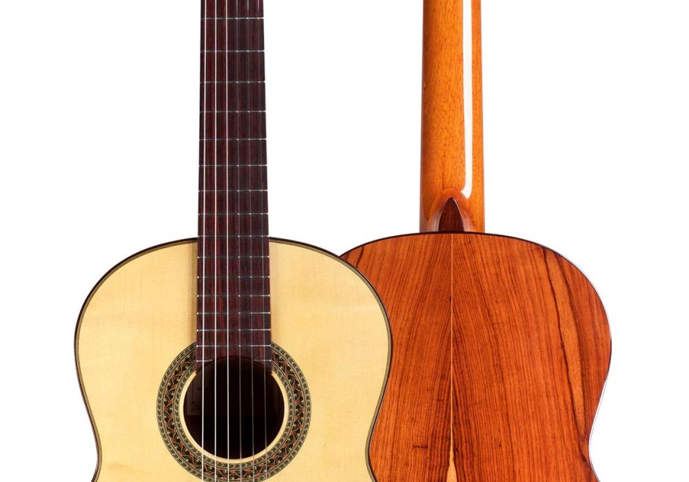 2019 Marlon Navarro Alvarez "Student Classical" SP/PE
