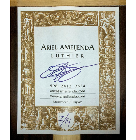 2014 Ariel Ameijenda SP/IN