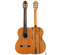 2025 Ariel Ameijenda "70th Anniversary" AL/CSAR