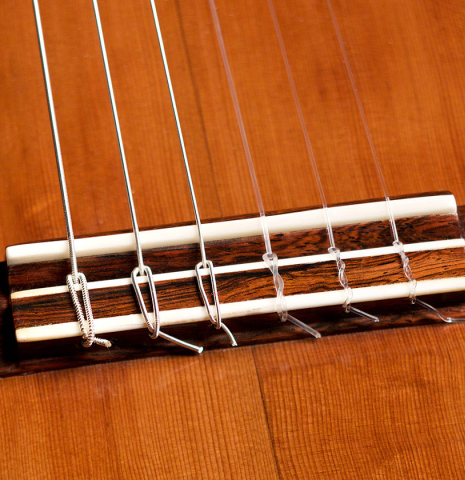 2022 Ariel Ameijenda "Confessional" AL/IN