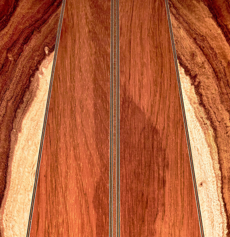 This is a close-up shot of the CSAR strip on the back of a 2022 Ariel Ameijenda "Confessional" AL/BL classical guitar