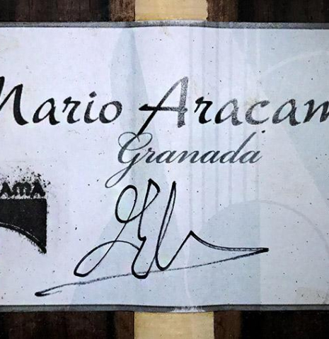 2019 Mario Aracama SP/KA