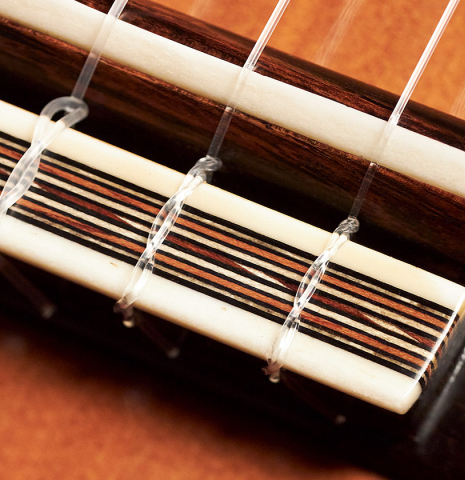 Closeup of the bridge, tie-block and saddle of a 2022 Ariel Ameijenda "Confessional" made of alerce and CSA rosewood
