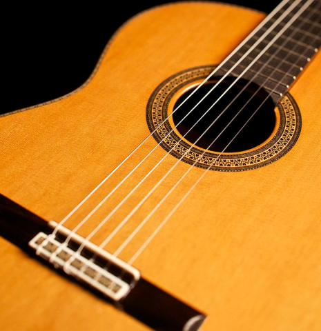 2008 Asturias "Custom C" CD/IN