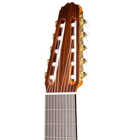 2014 Asturias "10-String" SP/IN