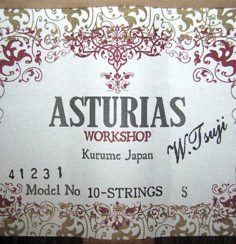 2014 Asturias "10-String" SP/IN