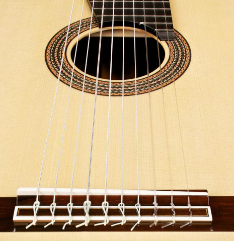 2014 Asturias "10-String" SP/IN