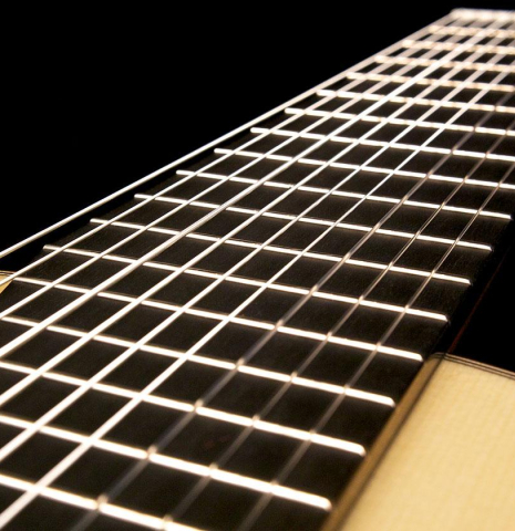 2014 Asturias "10-String" SP/IN
