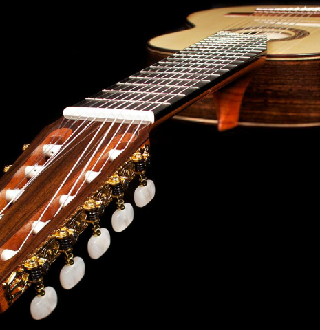 2014 Asturias "10-String" SP/IN