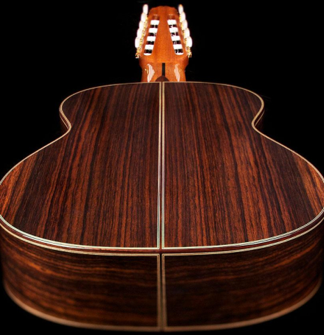 2014 Asturias "10-String" SP/IN