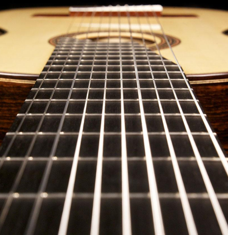 2014 Asturias "10-String" SP/IN