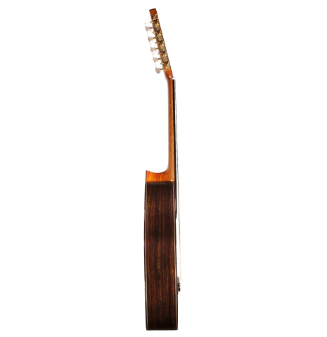 2014 Asturias "10-String" SP/IN
