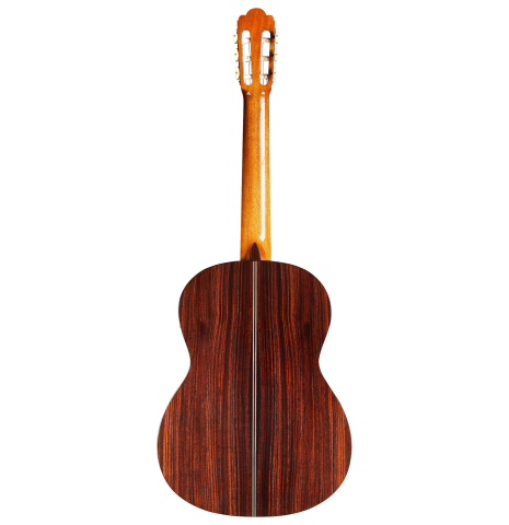 2021 Asturias "Standard C"-630" CD/IN