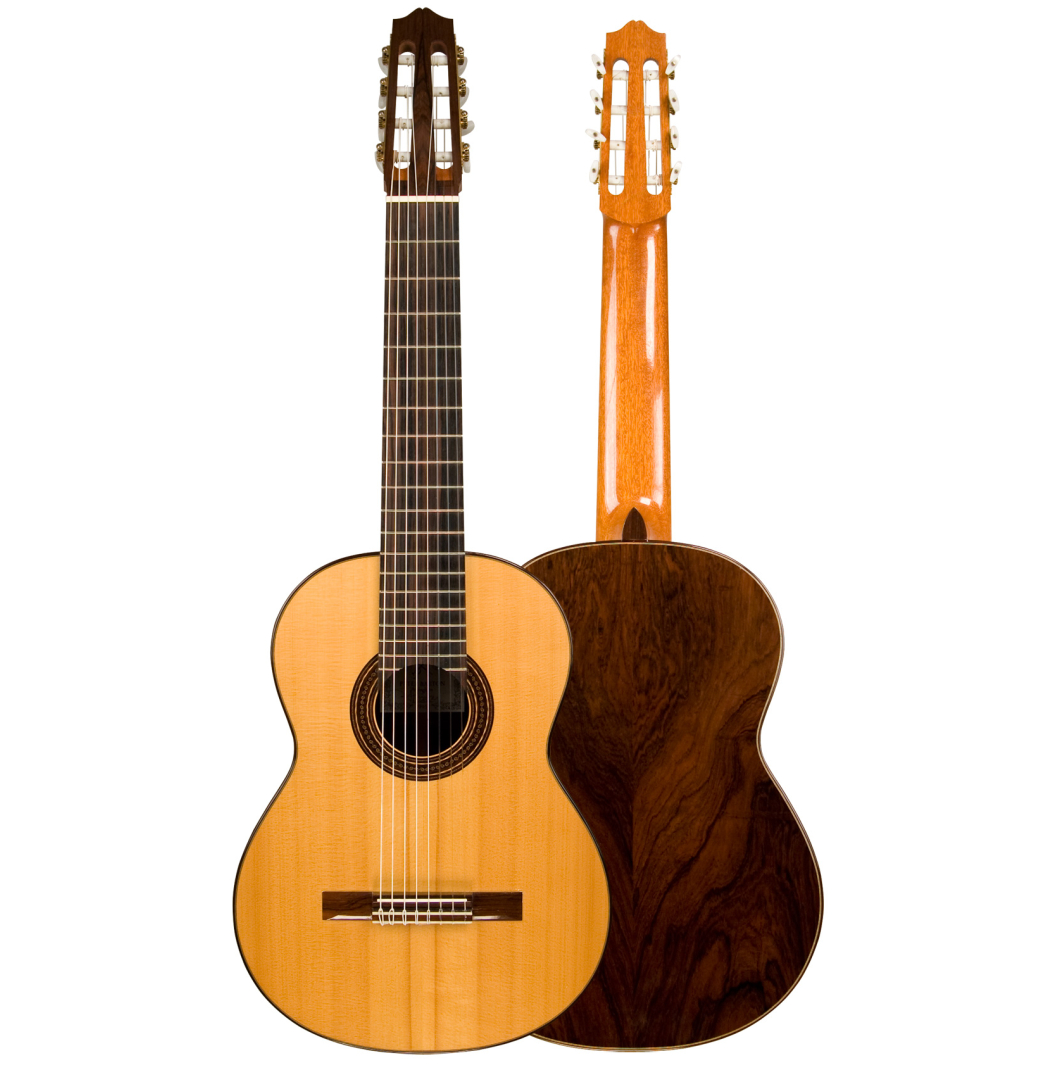 1993 Peter Barton "8-String" SP/CSAR