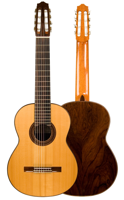 1993 Peter Barton "8-String" SP/CSAR