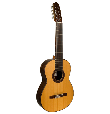 1993 Peter Barton "8-String" SP/CSAR