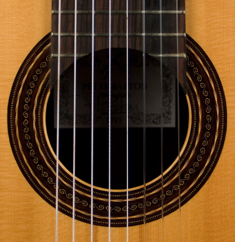 1993 Peter Barton "8-String" SP/CSAR