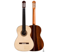 2022 Marco Bortolozzo SP/EE