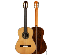 2024 Marco Bortolozzo SP/ZR