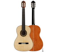 2025 Marco Bortolozzo SP/MH