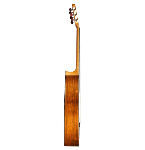 2014 Enrico Bottelli SP/CSAR
