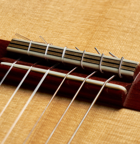 The bridge, tie-block and saddle of a 2019 Michael Cadiz classical guitar made of spruce and ziricote