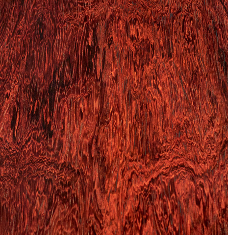 The African rosewood back of a 2021 Vicente Carrillo "Maestro Double Top" classical guitar made with cedar soundboard