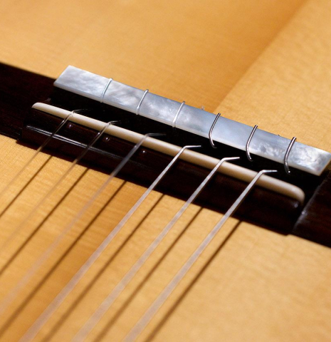 2020 Matthew Chaffin SP/IN