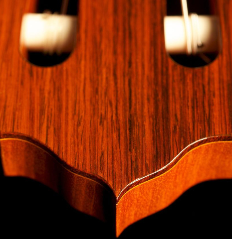 2010 Brian Cohen "1940 Hauser I" SP/IN