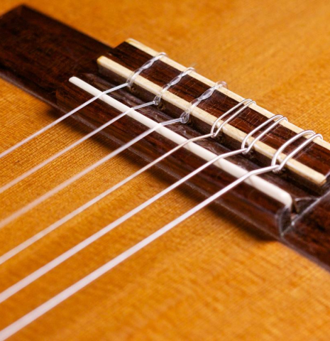 The bridge and saddle of a 1982 Brian Cohen classical guitar made with cedar and CSA rosewood