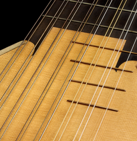 The soundboard and frets of a 1994 Brian Cohen "8-Course Renaissance Lute" made of spruce and maple