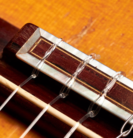 The bridge and saddle of a 1934 Enrique Coll classical guitar made of spruce and CSA rosewood