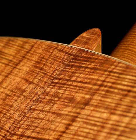 The heel, back binding and purfling of a 2016 Stephan Connor "640" classical guitar made of spruce and koa
