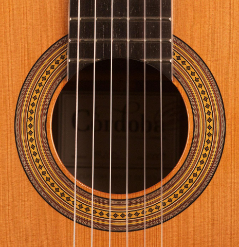 2008 Cordoba "Custom Artist" CD/AR