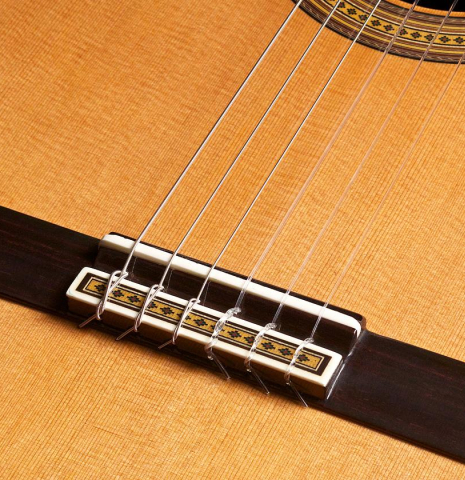 2008 Cordoba "Custom Artist" CD/AR