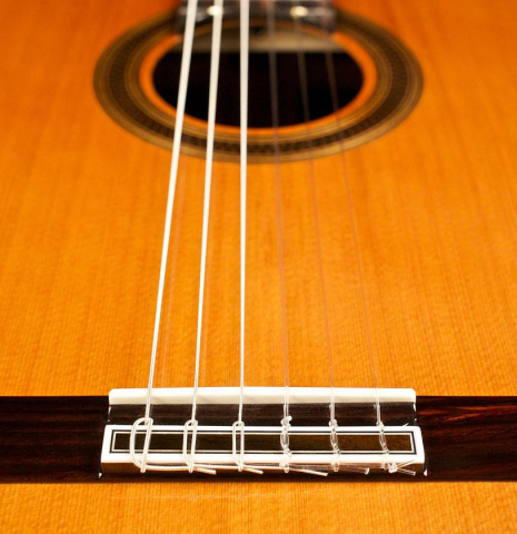The bridge, saddle and soundboard of a Cordoba "C7" classical guitar made with cedar top and Indian rosewood back and sides