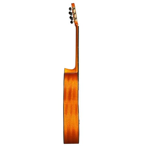 The side of a Cordoba "C9" classical guitar made of cedar and mahogany on a white background
