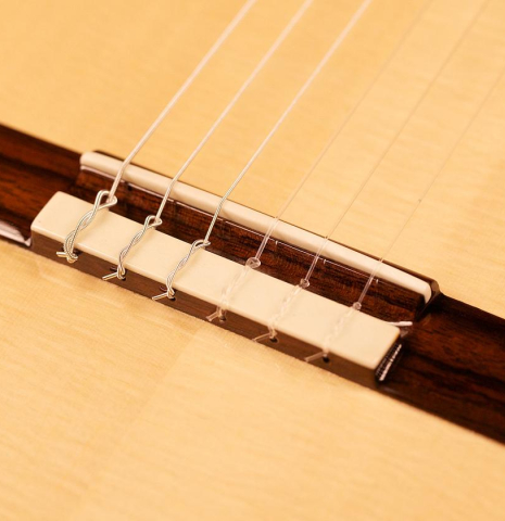 Cordoba Guitars Master Series "Torres" SP/IN
