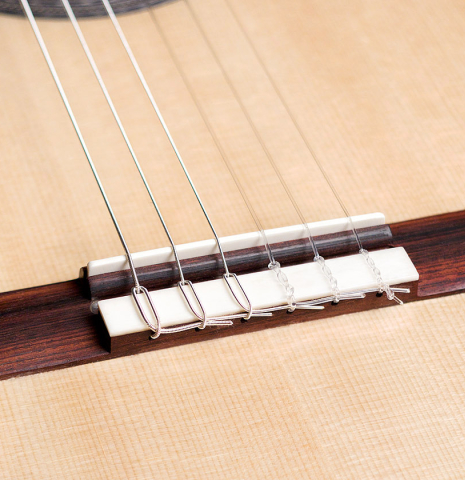Cordoba Guitars Master Series "Torres" SP/IN