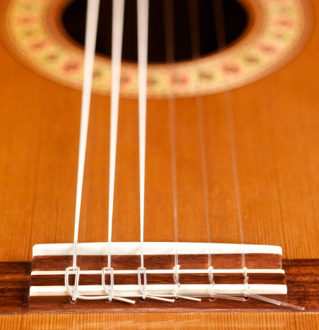 The bridge of a Cordoba Guitars Master Series "Rodriguez" classical guitar made with cedar and Indian rosewood.