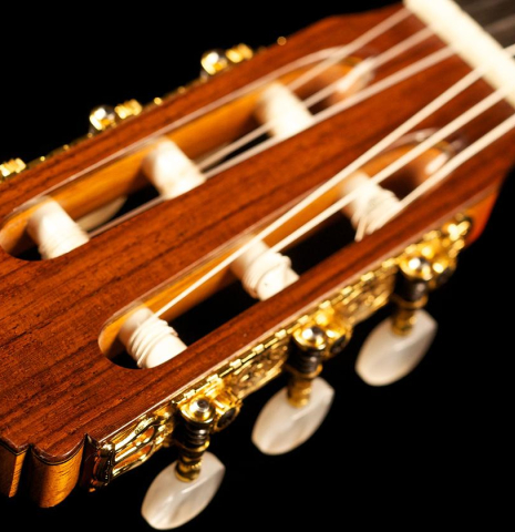 The headstock of a Cordoba Guitars Master Series "Rodriguez" classical guitar made with cedar and Indian rosewood.