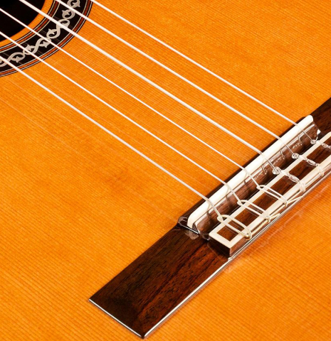 Cordoba "C12 Limited" CD/AR