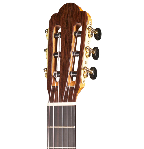 2014 Cordoba Guitars Master Series "Torres" SP/MP