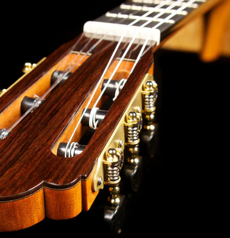 2014 Cordoba Guitars Master Series "Torres" SP/MP