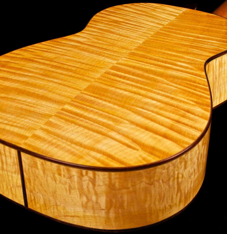 2014 Cordoba Guitars Master Series "Torres" SP/MP