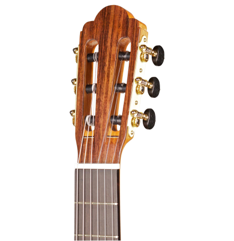 2014 Cordoba Guitars Master Series "Torres" SP/MP
