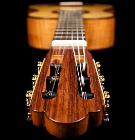 2014 Cordoba Guitars Master Series "Torres" SP/MP
