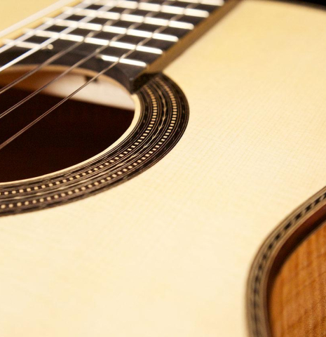 2014 Cordoba Guitars Master Series "Torres" SP/MP